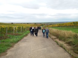 Weinfest Bockenheim 2019